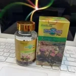 hoodia gordonii plus slimming capsule – natural weight loss support