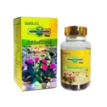 hoodia gardonii plus (60 capsules)