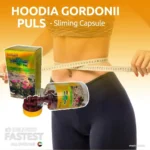 hoodia gordonii plus slimming capsule – natural weight loss support