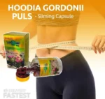 hoodia gordonii plus slimming capsule – natural weight loss support