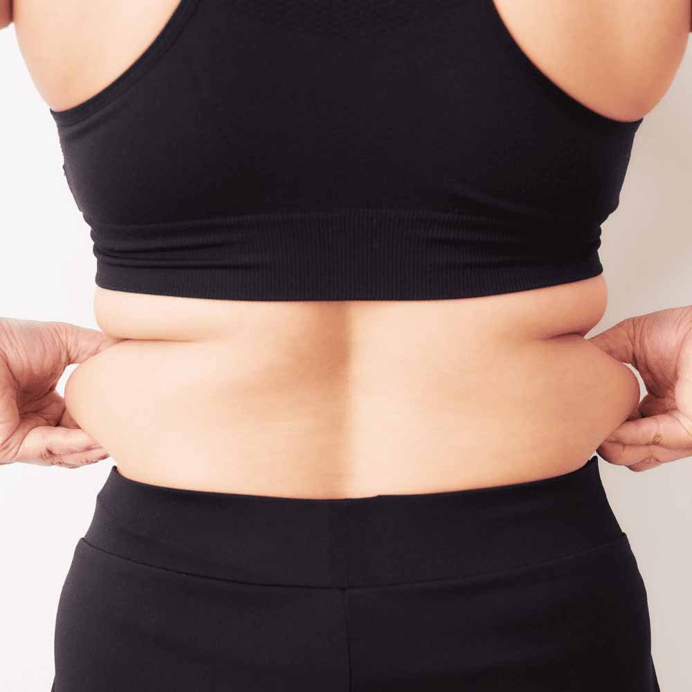 fat burner supplements