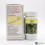 Hoodia Gordonii Kalahari Desert Complex – 100% Pure Appetite Control Capsules (500mg × 60) - Image 2