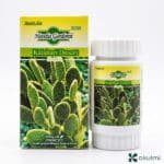 Hoodia Gordonii Kalahari Desert Complex – 100% Pure Appetite Control Capsules (500mg × 60)