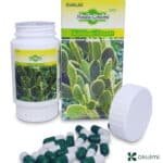 Hoodia Gordonii Kalahari Desert Complex – 100% Pure Appetite Control Capsules (500mg × 60) - Image 3